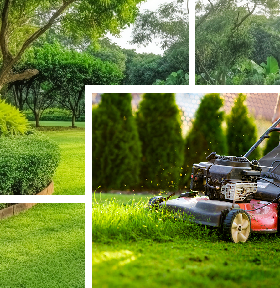 Garden Care in Kent